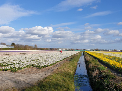 Voor de voet weg